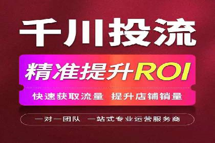 百度推广的投放策略与效果分析
